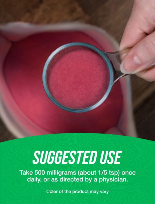 polvo arándano seco BulkSupplements suplemento diario