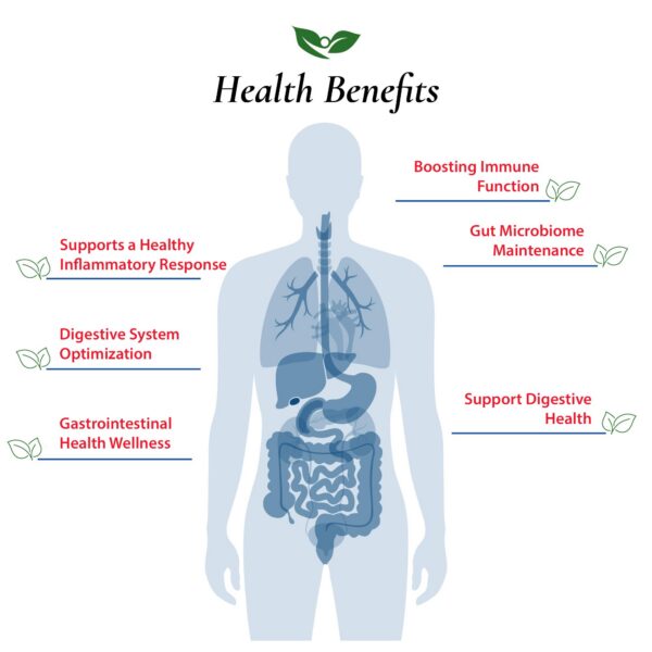 Version 1.0.0 Calidad y pureza polvo probiótico Foods For Gut