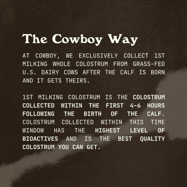 Calostro premium de vacas alimentadas con pasto Cowboy