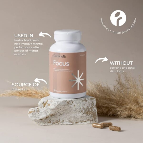 Version 1.0.0 Frasco Canaherb Enfoque cáñamo natural - etiqueta