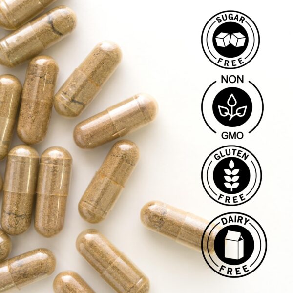 Version 1.0.0 canela-ceilan-vida-saludable-vit-organics