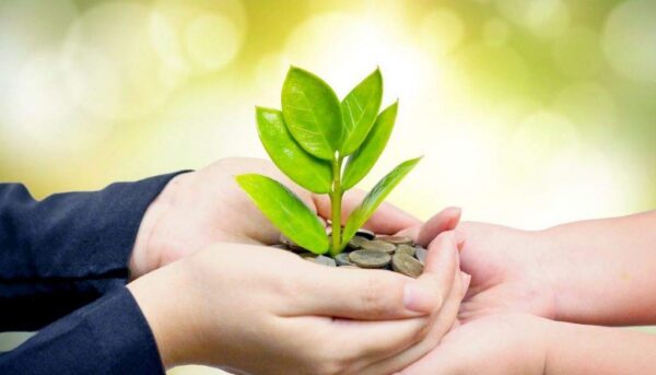 Version 1.0.0 Capas de cápsulas del suplemento adaptógeno natural para equilibrio