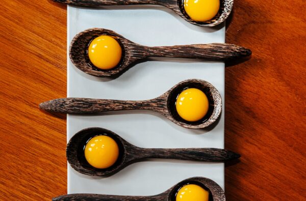 Version 1.0.0 Composición del kit Cape Crystal alginato