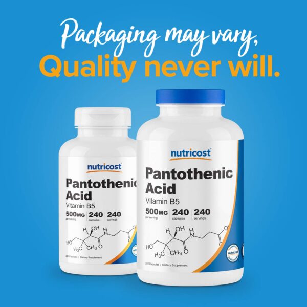 Cápsula de ácido pantoténico Nutricost vitamina B5 500 mg