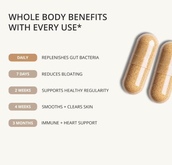 Cápsula de probiótico Akkermansia