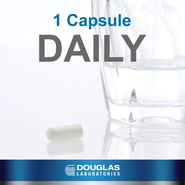 Version 1.0.0 Cápsulas Acetil L-Carnitina 500 mg