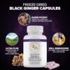 Cápsulas Addictive Wellness jengibre negro 100 cuenta paquete