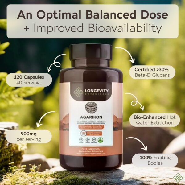 Foco en cápsulas Agarikon extracto concentrado 10 a 1