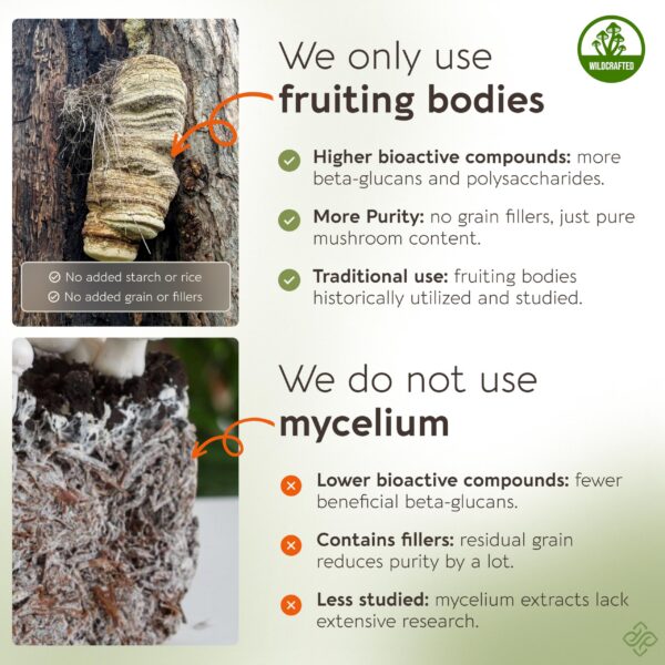 Version 1.0.0 Cápsulas Agarikon para salud respiratoria y sistema inmune