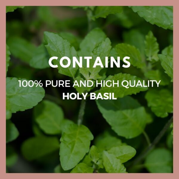 Version 1.0.0 Cápsulas albahaca sagrada para bienestar