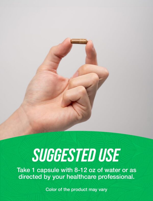 Version 1.0.0 Cápsulas de alcachofa para vitalidad diaria y bienestar