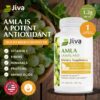 Cápsulas de amla superfruta Jiva Botanicals 120 unidades