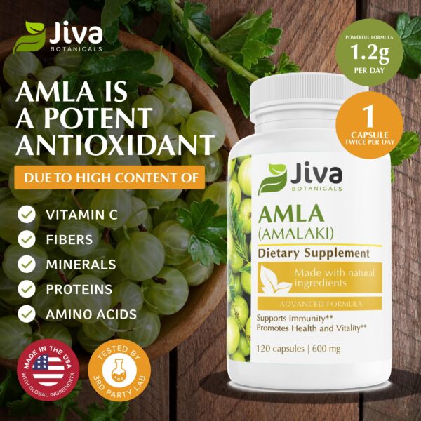 Cápsulas de amla superfruta Jiva Botanicals 120 unidades