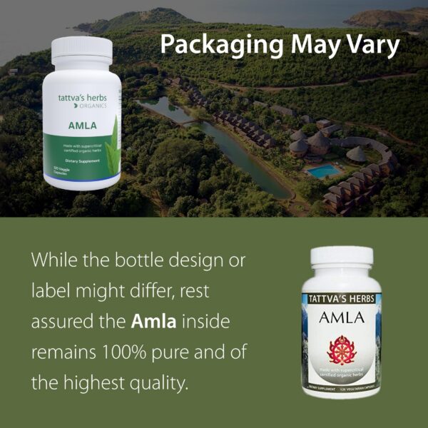 Version 1.0.0 Cápsulas de Amla Tattva's Herbs vitamina C y antioxidante natural
