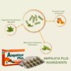 Detalle de cápsulas naturales Ampalaya con extractos herbales