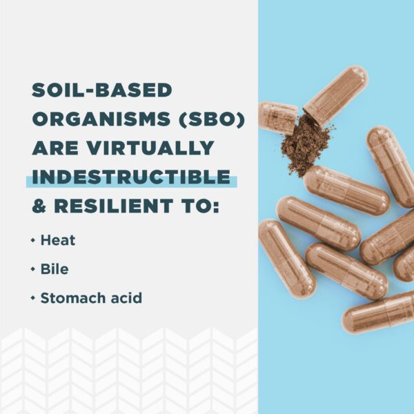 Capsulas Ancient Nutrition SBO Probiotics Ultimate 50 mil millones UFC