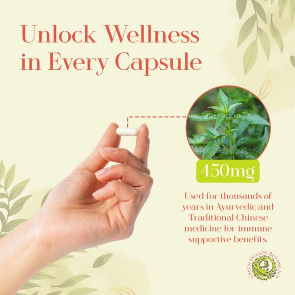 Version 1.0.0 Cápsulas Andrographis Green Dragon en frasco