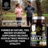 Version 1.0.0 Cápsulas para apoyo inmunológico y salud cognitiva con shilajit Number One