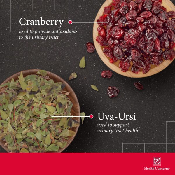 Cápsulas arándano y medicina herbal china Health Concerns