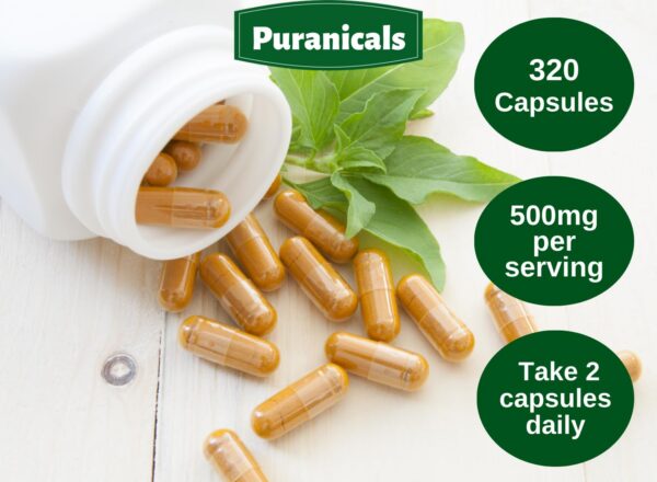 Cápsulas Ashwagandha premium Puranicals 500mg por dosis