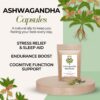 Cápsulas de Ashwagandha Siyah Organics caja y etiqueta principal