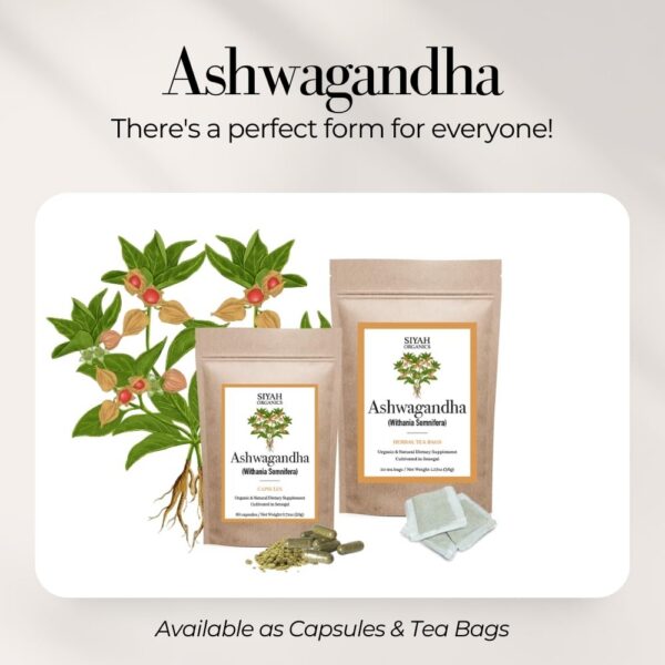 Cápsulas de Ashwagandha Siyah Organics contenido de cápsulas