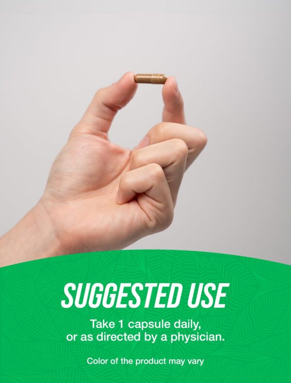 Cápsulas astrágalo suplemento salud BulkSupplements empaque