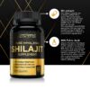 Version 1.0.0 Cápsulas atlántis nutrición con shilajit pureza y potencia testada