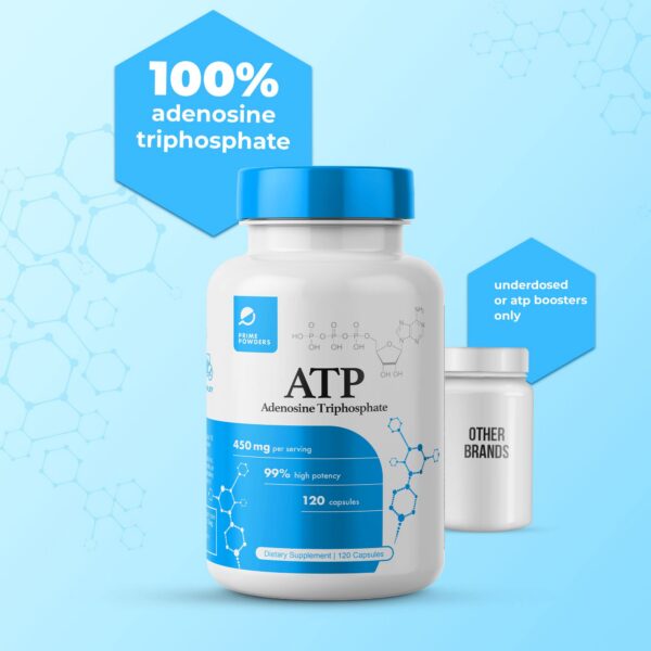 Version 1.0.0 Cápsulas ATP Prime Powders para aumentar energía y fuerza