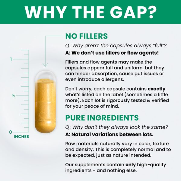 Version 1.0.0 Cápsulas del complejo B activo