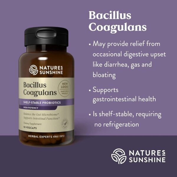 Cápsulas bacillus coagulans para salud digestiva natures sunshine