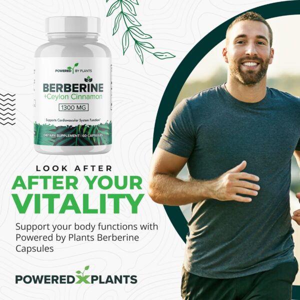 Paquete de 2 suplementos de berberina con canela