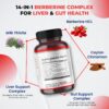 Cápsulas Berberina para salud hepática y digestiva