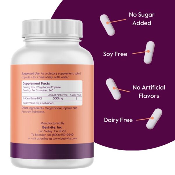 Cápsulas Bestvite L-Ornitina sin rellenos ni estearatos
