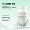 Version 1.0.0 Cápsulas de Beta-sitosterol Theralogix Prostate SR para hombres