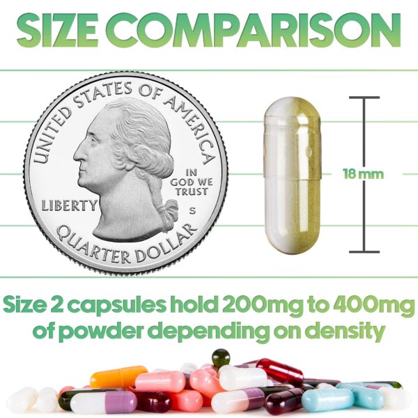 Paquete de 1000 unidades de cápsulas vacías tamaño 2 XPRS Nutra