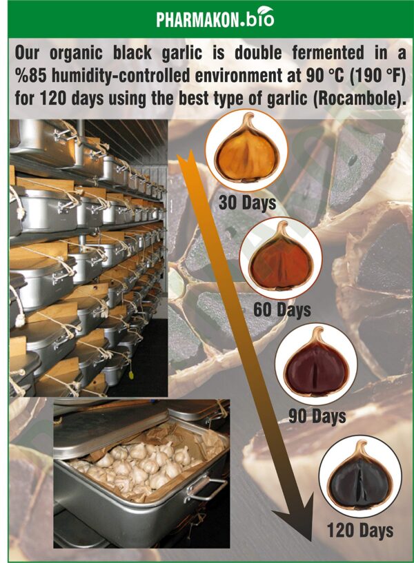 Cápsulas blandas de ajo negro Pharmakon