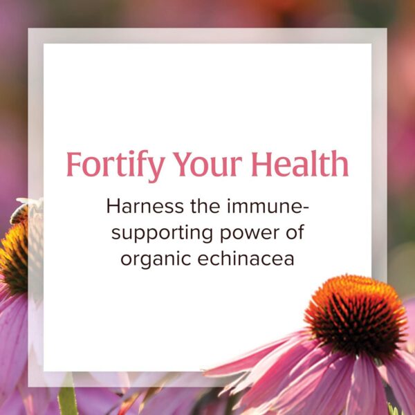 Cápsulas blandas equinácea Natural Factors para inmunidad