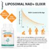 Primer plano de cápsula suave NAD+ liposomal
