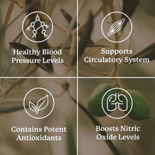 Cápsulas Blood Pressurex para presión arterial estable