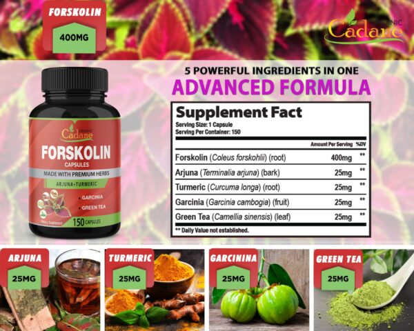 Version 1.0.0 Cápsulas Cadane Forskolin para bienestar diario