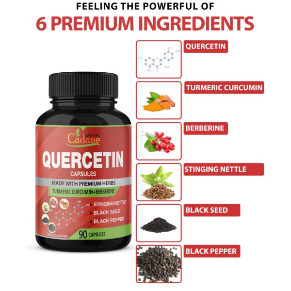 Version 1.0.0 Cápsulas Cadane suplemento antioxidante energía salud