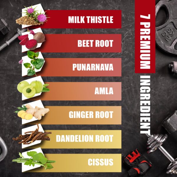 Cápsulas de cardo mariano en fondo blanco