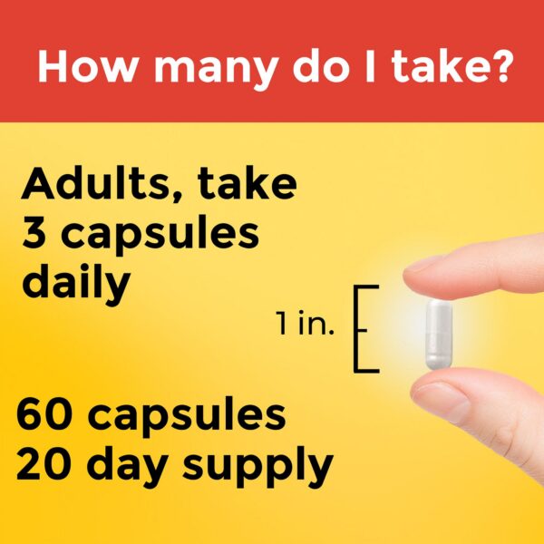 Cápsulas de colina vegetarianas y sin gluten