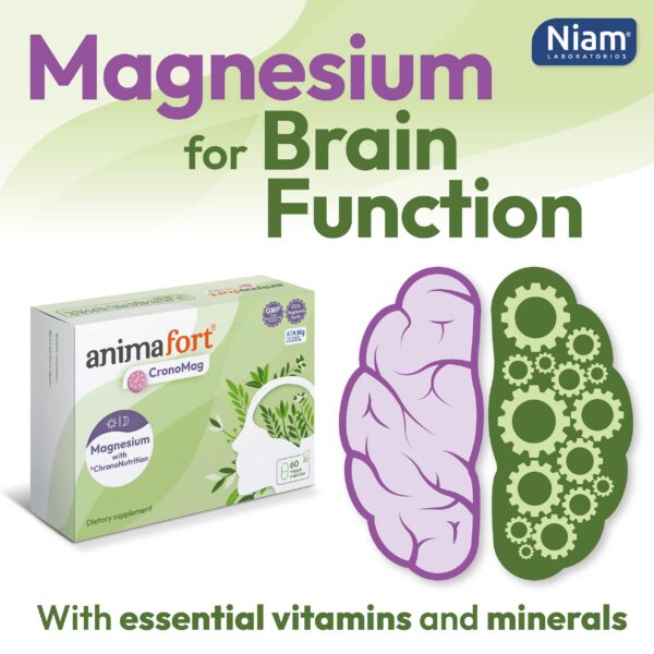 Cápsulas de Complejo de Magnesio mostradas