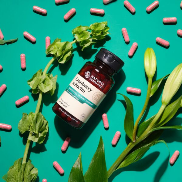 Version 1.0.0 Cápsulas de concentrado arándano y buchu Nature's Sunshine