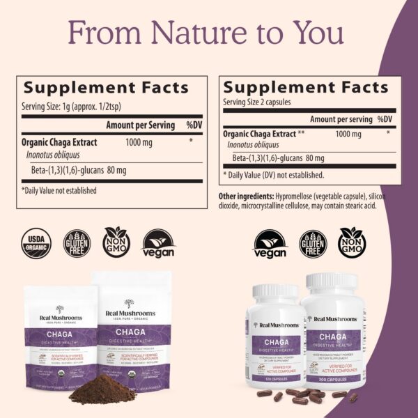 Caja de cápsulas Chaga Real Mushrooms