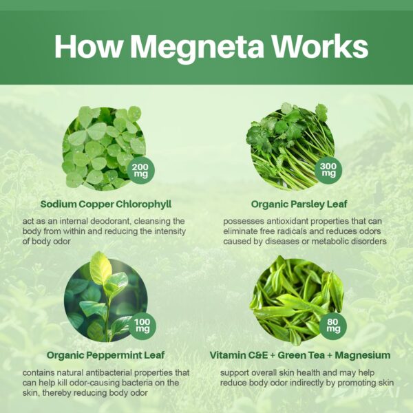 Version 1.0.0 Cápsulas control interno de olores clorofila para frescura diaria