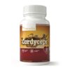 Cápsulas de Cordyceps Extra Fuerza YongWell en botella