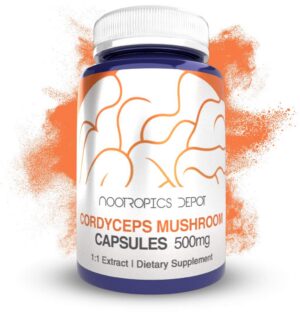 Frasco de cápsulas de Cordyceps militaris 500mg 60 unidades
